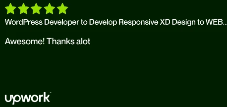 Upwork client review screenshot 28